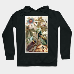 Flowers and insects. Passion flower. Cicada and other flying bugs Hoodie